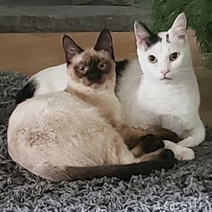 Meet your Posher, Christina